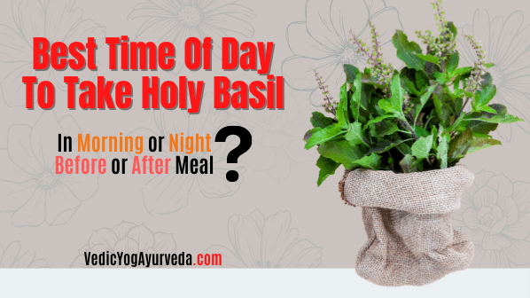 Should I Take Holy Basil at Night or Morning